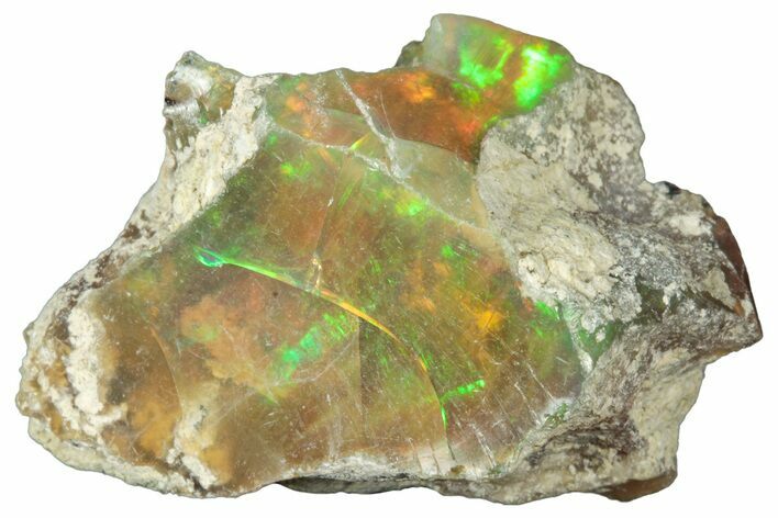Brilliant, Precious, Ethiopian Fire Opal ( grams) #315556